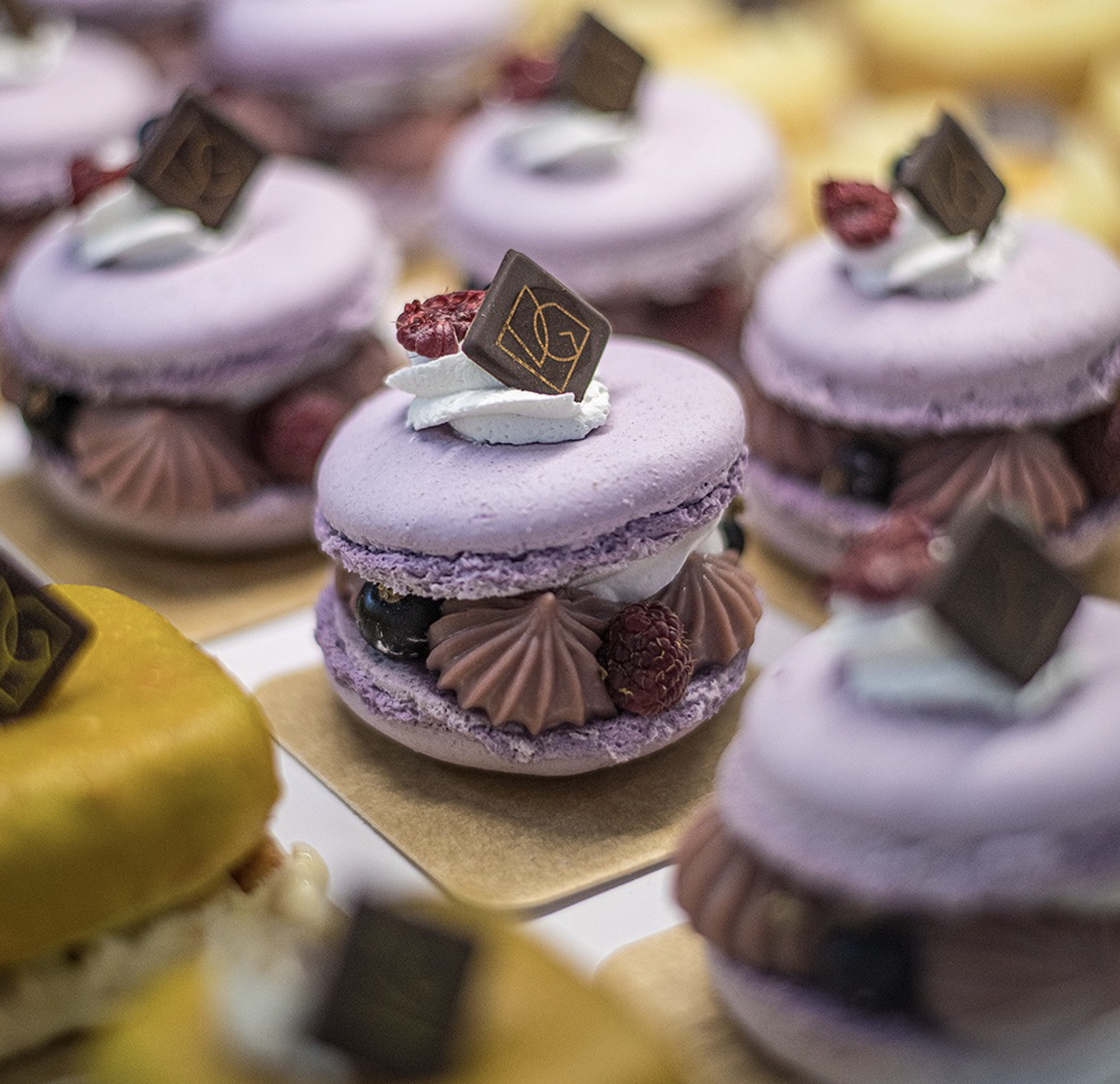 Screen Shot 2023-01-04 at 7.51.19 PM